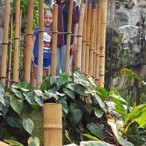 Meet your Posher, Gary